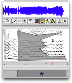Surface polygonale et l'&eacute;l&eacute;ment de piste correspondant