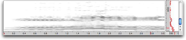 Sonagramme en niveau de gris (&eacute;chelle lin&eacute;aire)